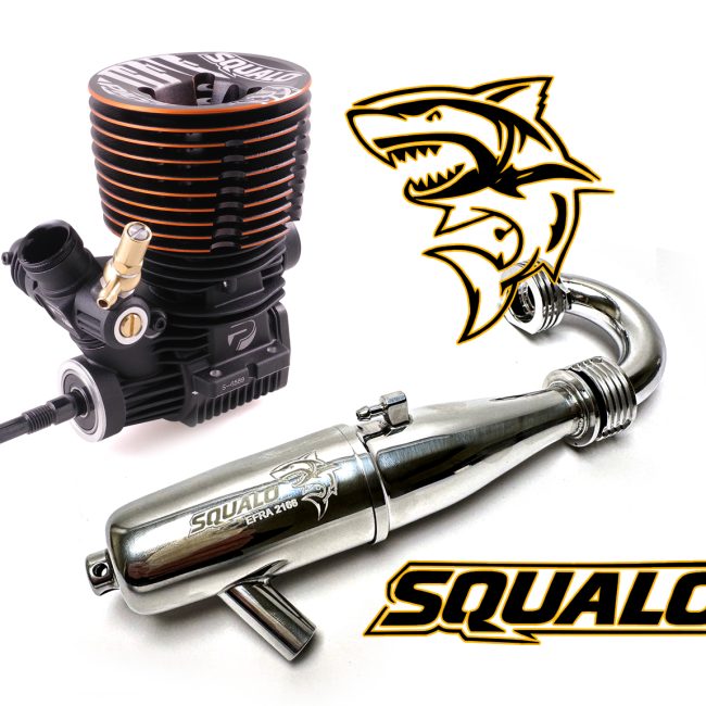 Combo Picco Squalo DLC Buggy .21 Céramique + Ligne Picco 2166 Inline